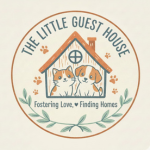 The Little Guest House